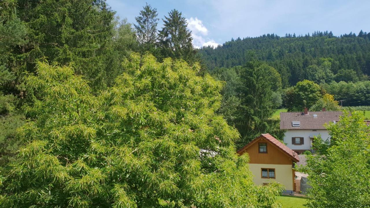 Silberkoenig Schwarzwald Hotel & Restaurant Ringhotel Гутах-им-Брайсгау Экстерьер фото