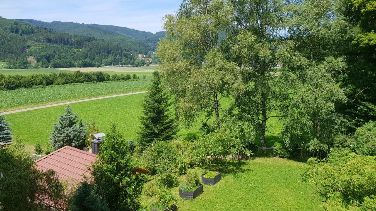 Silberkoenig Schwarzwald Hotel & Restaurant Ringhotel Гутах-им-Брайсгау Экстерьер фото